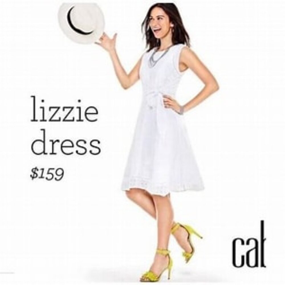 Cabi 5106 Lizzie White Eyelet Dress Size 10  NWOT